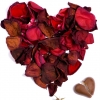 How Quick Judgments Predict Romantic Interactions